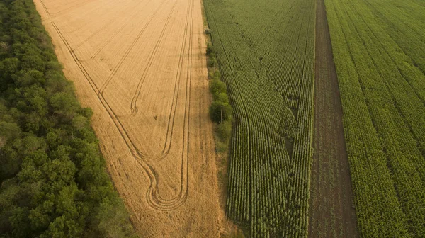 Yukarıdan farklı alanları göster