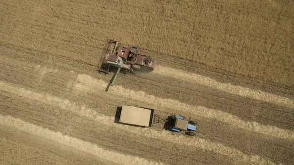 Yukarıdan alan görünümünde traktör