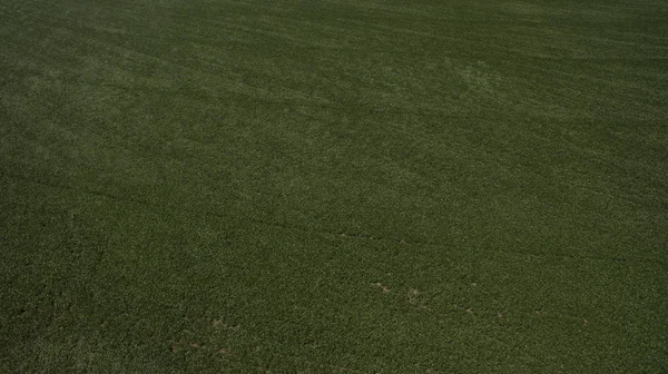 Yukarıdan farklı alanları göster