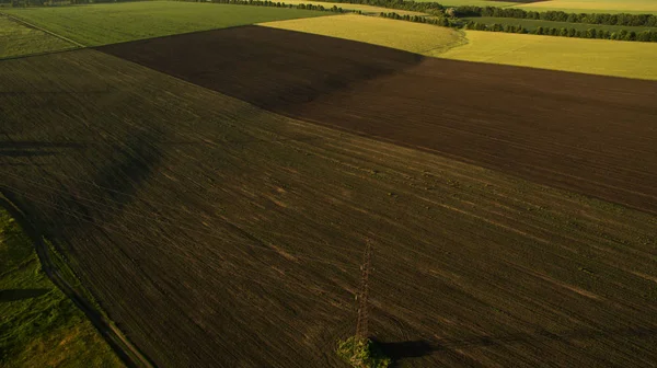 Yukarıdan farklı alanları göster