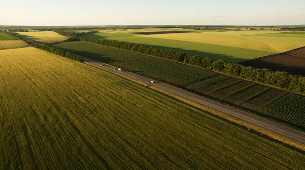 Yukarıdan farklı alanları göster
