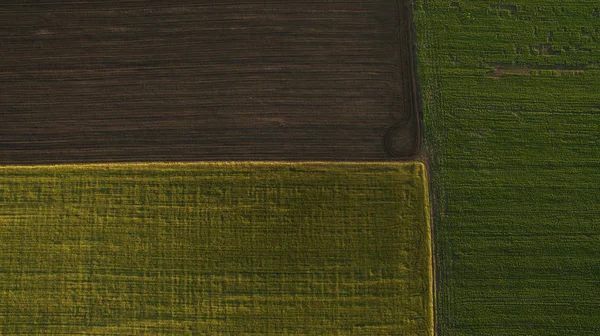 Yukarıdan farklı alanları göster