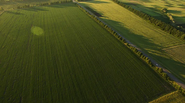 Yukarıdan farklı alanları göster