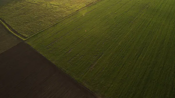 Different Fields View — Stock Photo, Image