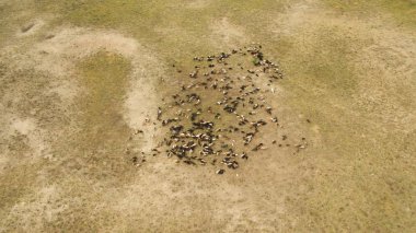 Güzel manzara bir yükseklikten çekim