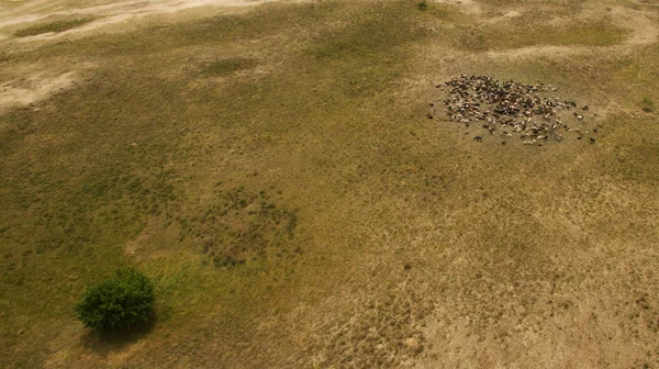 Güzel manzara bir yükseklikten çekim