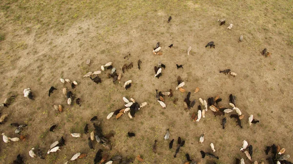 Güzel manzara bir yükseklikten çekim