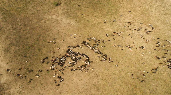 Güzel manzara bir yükseklikten çekim