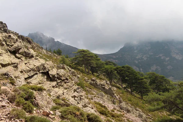 Paysage de montagne sur sentier de randonnée, Corse, France . — Photo