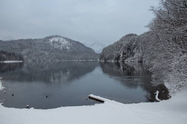 Alpsee göl dağ yansıma ile kış zamanında. Almanya.