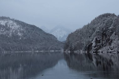 Alpsee göl Dağları yansıma ile kış zamanında. Almanya.