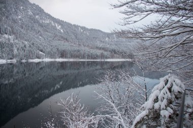 Alpsee göl dağ yansıma ile kış zamanında. Almanya.