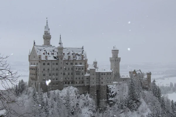 Castillo de Neuschwanstein en invierno. Fussen. Alemania . —  Fotos de Stock