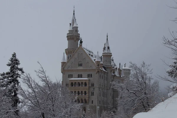 Castillo de Neuschwanstein en invierno. Fussen. Alemania . —  Fotos de Stock