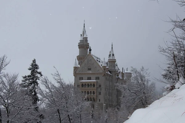 Castillo de Neuschwanstein en invierno. Fussen. Alemania . —  Fotos de Stock