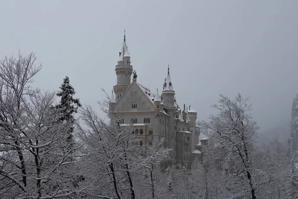 Замок Нойшванштайн зимой между деревьями. Фуссен. Германия . — стоковое фото