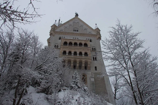 Castillo de Neuschwanstein en invierno entre árboles. Fussen. Alemania . —  Fotos de Stock