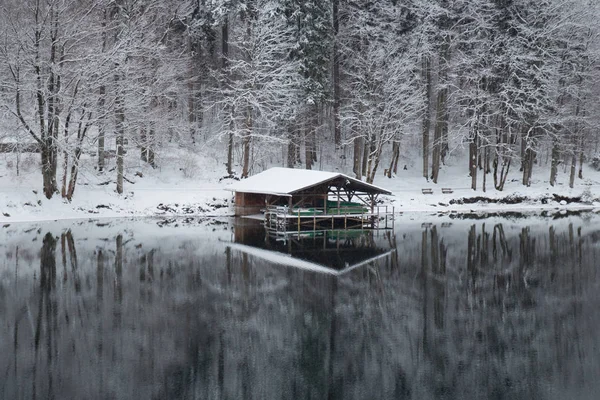 Alpsee göl kış zamanında iskelede. Almanya.