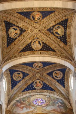 Lucca Cathedral iç görünümünü tavan. Cattedrale di San Martino. Tuscany. İtalya.