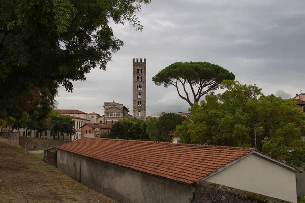 Typische rode roofes met stenen pine en San Frediano kerk Belfort op achtergrond. Lucca. Italië. — Stockfoto