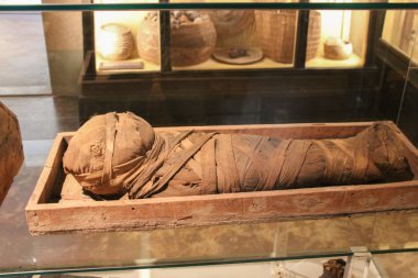 Child mummy. The National Archaeological Museum of Florence. Toscana. Italy. clipart