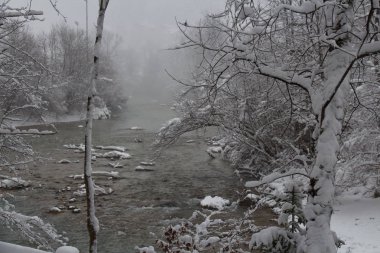 Ağaçlar arasında soğuk nehir karla kaplı. Bavyera. Almanya.