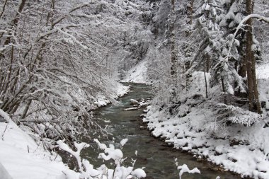 Soğuk nehir ağaçları kış zamanında arasında. Garmisch-Partenkirchen. Almanya.