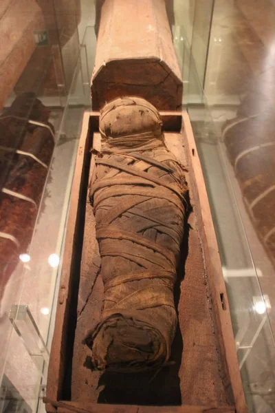 Child mummy. The National Archaeological Museum of Florence. Toscana. Italy. — Stock Photo, Image