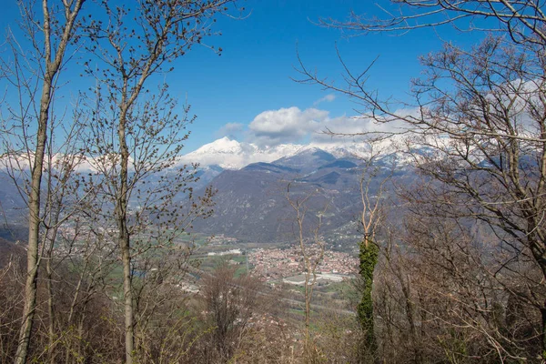 Val di Susa à travers les branches avec des Alpes blanches sur le fond. Le Piémont. Italie — Photo