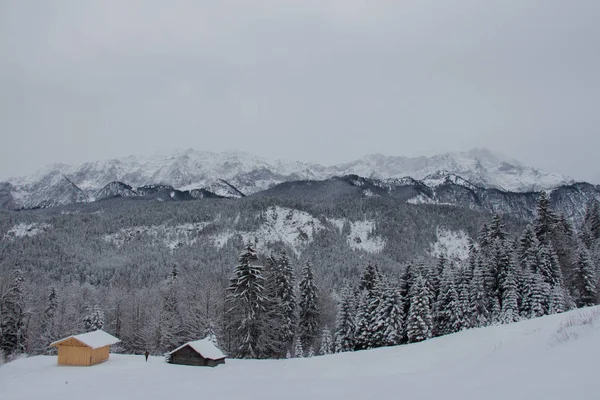 Zimowy krajobraz z drewnianymi domami, drzew i gór na tle w pobliżu Garmisch-Partenkirchen. Niemcy. — Zdjęcie stockowe