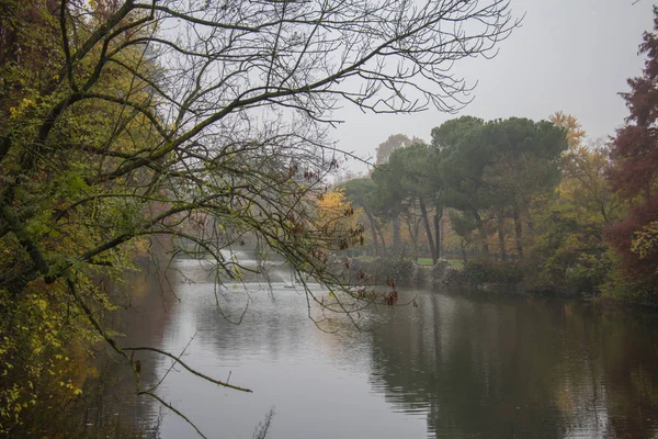 霧の日のジャルディーニ ・ マルゲリータ公園。ボローニャ、イタリア エミリア ・ ロマーニャ. — ストック写真
