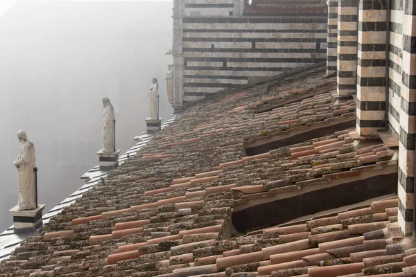 Vue sur le toit carrelé et les statues de marbre sur le Duomo di Siena. Cathédrale métropolitaine de Santa Maria Assunta. Toscane. Italie . — Photo