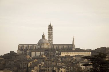 Kuzeyden eski şehir manzaralı Duomo di Siena. Tuscany. İtalya. Eski polar etkisi.