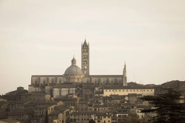 Vue du Duomo di Siena avec la vieille ville du nord. Toscane. Italie. Vieil effet polaire . — Photo