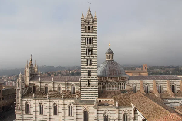 Дуомо ди Сиена и колокольня. Вид с Facciatone Tuscany. Италия . — стоковое фото