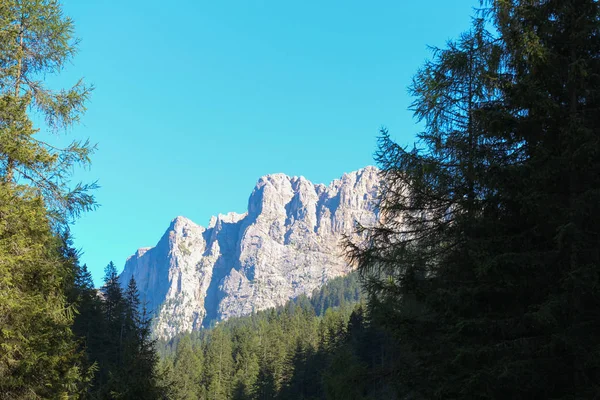 Krajina s zelený Les, hory a modrá obloha. — Stock fotografie