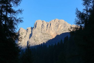 Yeşil orman, dağlar ve mavi gökyüzü manzara.