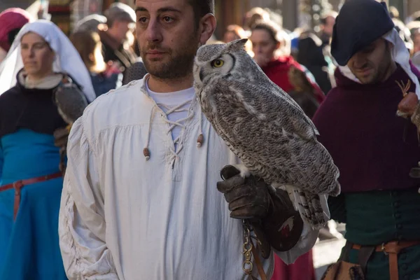 Ortaçağ kostüm geleneksel geçit töreni Epiphany Befana Ortaçağ Festivali Floransa, Toskana, İtalya, bir baykuş tutan adam.