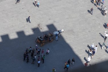 Bir at ve at arabası ve turistler meydanda. Görünüm Palazzo Vecchio, Florence, İtalya.