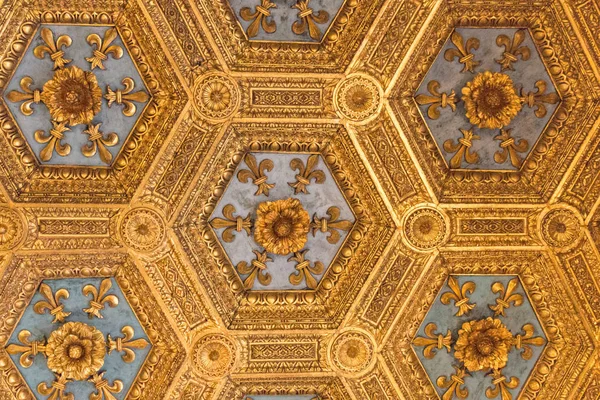 Rönesans parçası Sala dei Gigli Palazzo Vecchio, Florence, Toskana, İtalya içinde tavanda oyulmuş.