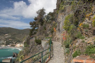Monterosso al Mare yakınlarında yürüyüş parkı Cinque Terre, Liguria, İtalya.