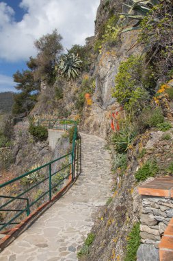 Monterosso al Mare yakınlarında yürüyüş parkı Cinque Terre, Liguria, İtalya.