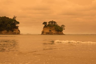 Avustralya 'nın Auckland, Yeni Zelanda' nın Kuzey Sahili bölgesindeki Torbay Sahili 'ndeki orman yangınlarından bir sis sarkmaktadır..
