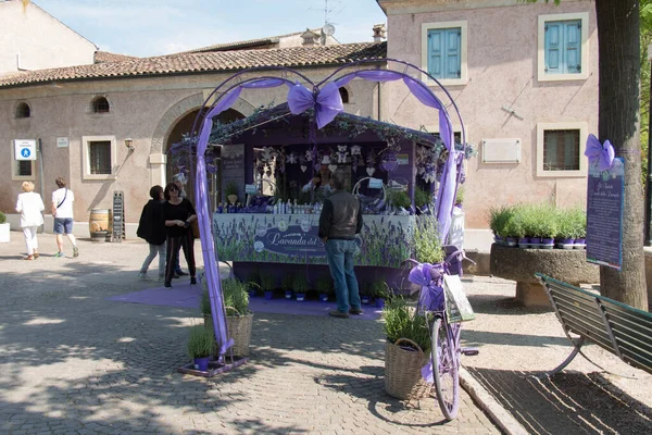 Italia Valeggio Sul Mincio Mayo 2018 Vista Del Puesto Lavanda Fotos de stock libres de derechos