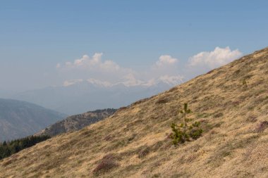 Yokuştaki kuru çimen manzarası ve arka planda dağlar.