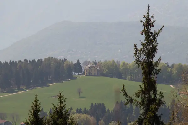 Vista Del Classico Paesaggio Rurale Paesaggio Estivo Con Campo Verde — Foto Stock