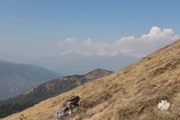 Yokuştaki kuru çimen manzarası ve arka planda dağlar.