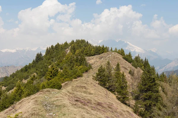 Dağ manzarası manzarası. Ağaçlı yamaçlarda kuru çimenler, beyaz dağ zirveleri ve arka planda bulutlar.