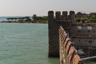Güneşli bir günde, güçlendirilmiş duvardaki martı manzarası.