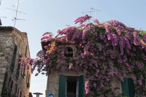 Italie Lombardie Août 2018 Vue Sur Vieille Rue Sirmione Old — Photo